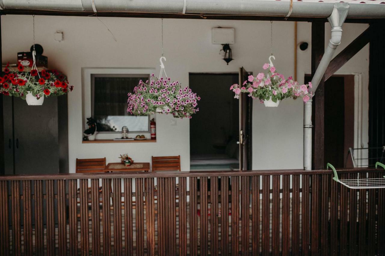 Paulaapartment&Rooms 오라데아 외부 사진